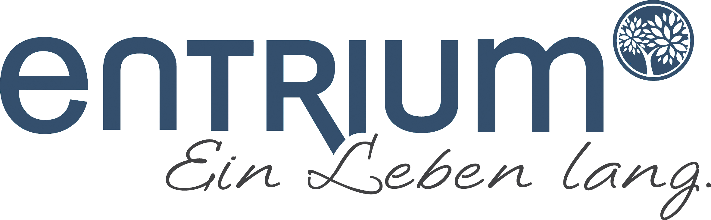 Entrium Logo Transparent